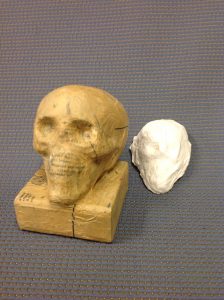 paper mache skull