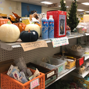 Decorative pumpkins and other decorating supplies on shelves in our nature section.